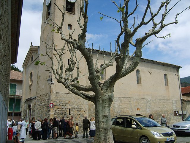 Original image